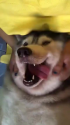 YESSSSSSSSSSSSSSSSSS