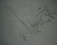 Calumniatorisdauciraptor