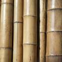 Bamboo_Pole