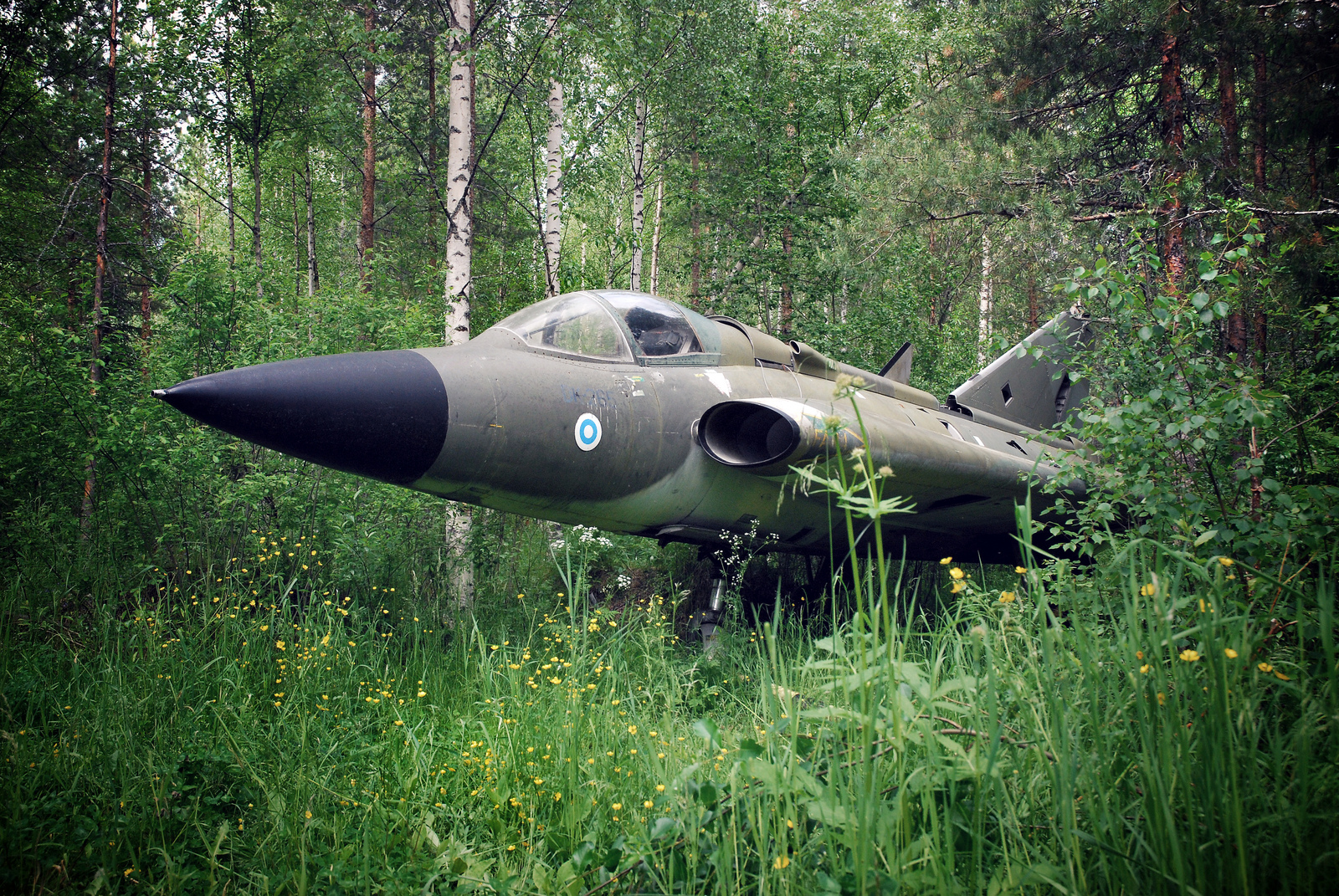 Самолет кидать. Заброшенный самолет в лесу. Военный самолет в лесу. Брошенные военные самолеты. Заброшенный истребитель.