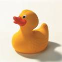 Rubber-Duck