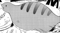 SaBNDTsuchinoko