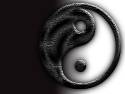 yinyang