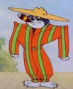 Tom-and-Jerry-Zoot-Suit-front-