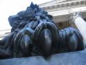 Congreso_de_los_Diputados_(España)_06