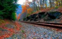 fall_railroad_track