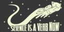 license to verb