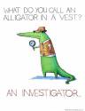 what-do-you-call-an-alligator-in-a-vest