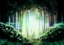 The Forest of Magic