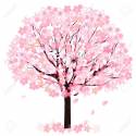 35602313-cherry-blossom-tree
