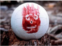 Wilson