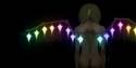 Flandre20