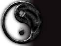 yinyang