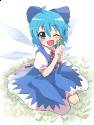 blame_cirno2