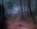 Forest_fog