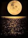 full_moon