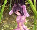 konachan-com-48918-animal_ears-bunnygirl-inaba_tew