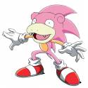 slowpoke-sonic