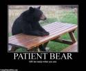 Patient_Bear
