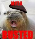 Walrus-Jamie-mythbusters-1727709-336-367