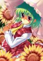 lots of nice yuuka pics