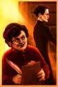 mcgonagall_and_umbridge_by_ehay-d4q30zz