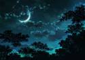 A Tranquil Night Sky