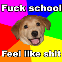 advicedogfuckschool