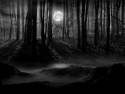 darkforest2