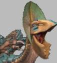 this_is_my_actual_real_face
