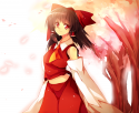 reimu-is-love