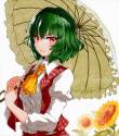 __kazami_yuuka_touhou_drawn_by_qqqrinkappp__208445