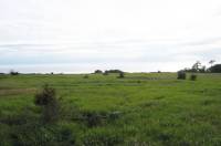 Farm_001