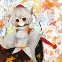 SoftMomiji