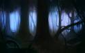 darkforest