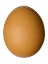 I AM EGG