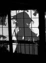 Shadow