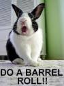 barrel_roll