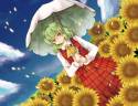 Konachan_com - 50271 dress green_hair kazami_yuuka