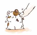hamster_damn_cute