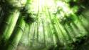 400px-BambooForestOfTheLost