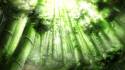 400px-BambooForestOfTheLost