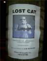 sign-lost-cat