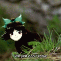 What are Okuu