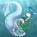 shark