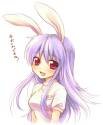 __reisen_udongein_inaba_touhou_drawn_by_mizunomoto