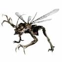 There\&#039;s a fly in my room