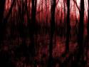 bloody-forest-hell-red